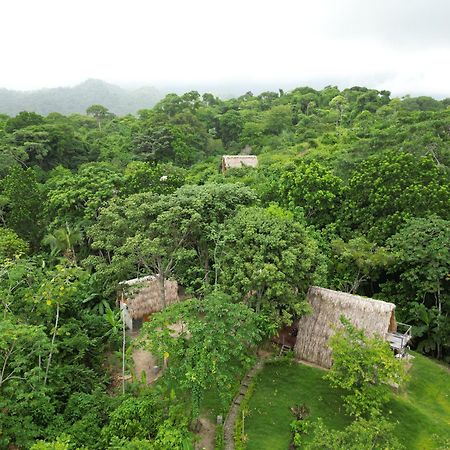 Tiny Houses Unique Tayrona - Dentro Del Parque Tayrona Zaino Eksteriør billede