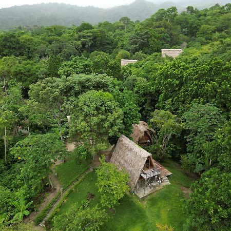 Tiny Houses Unique Tayrona - Dentro Del Parque Tayrona Zaino Eksteriør billede