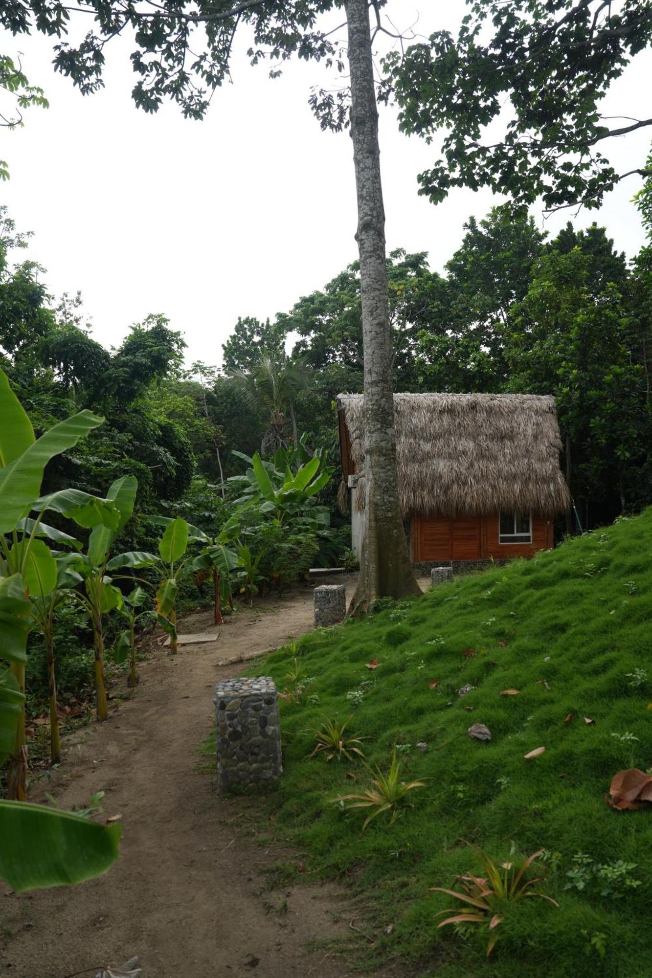 Tiny Houses Unique Tayrona - Dentro Del Parque Tayrona Zaino Eksteriør billede