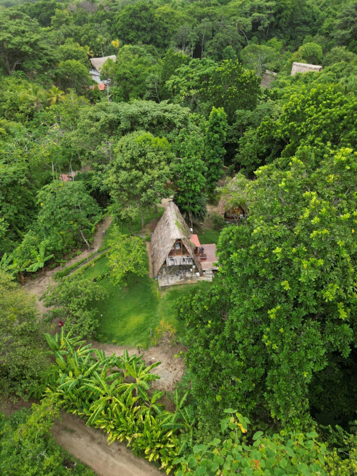 Tiny Houses Unique Tayrona - Dentro Del Parque Tayrona Zaino Eksteriør billede
