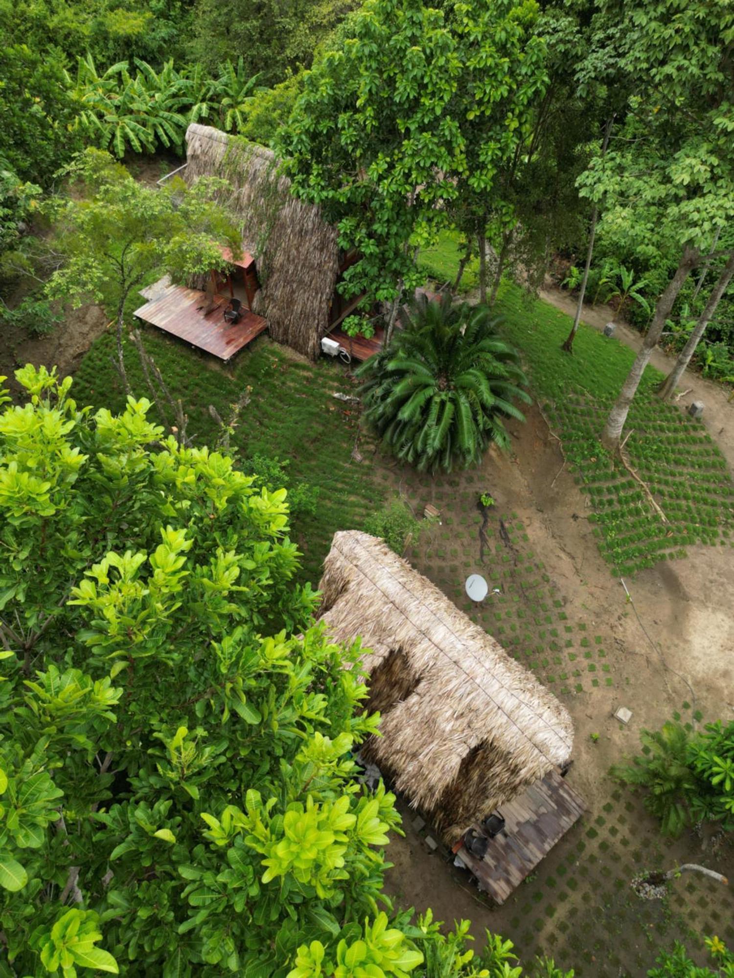 Tiny Houses Unique Tayrona - Dentro Del Parque Tayrona Zaino Eksteriør billede