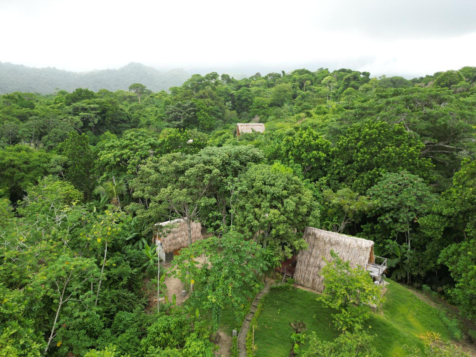 Tiny Houses Unique Tayrona - Dentro Del Parque Tayrona Zaino Eksteriør billede