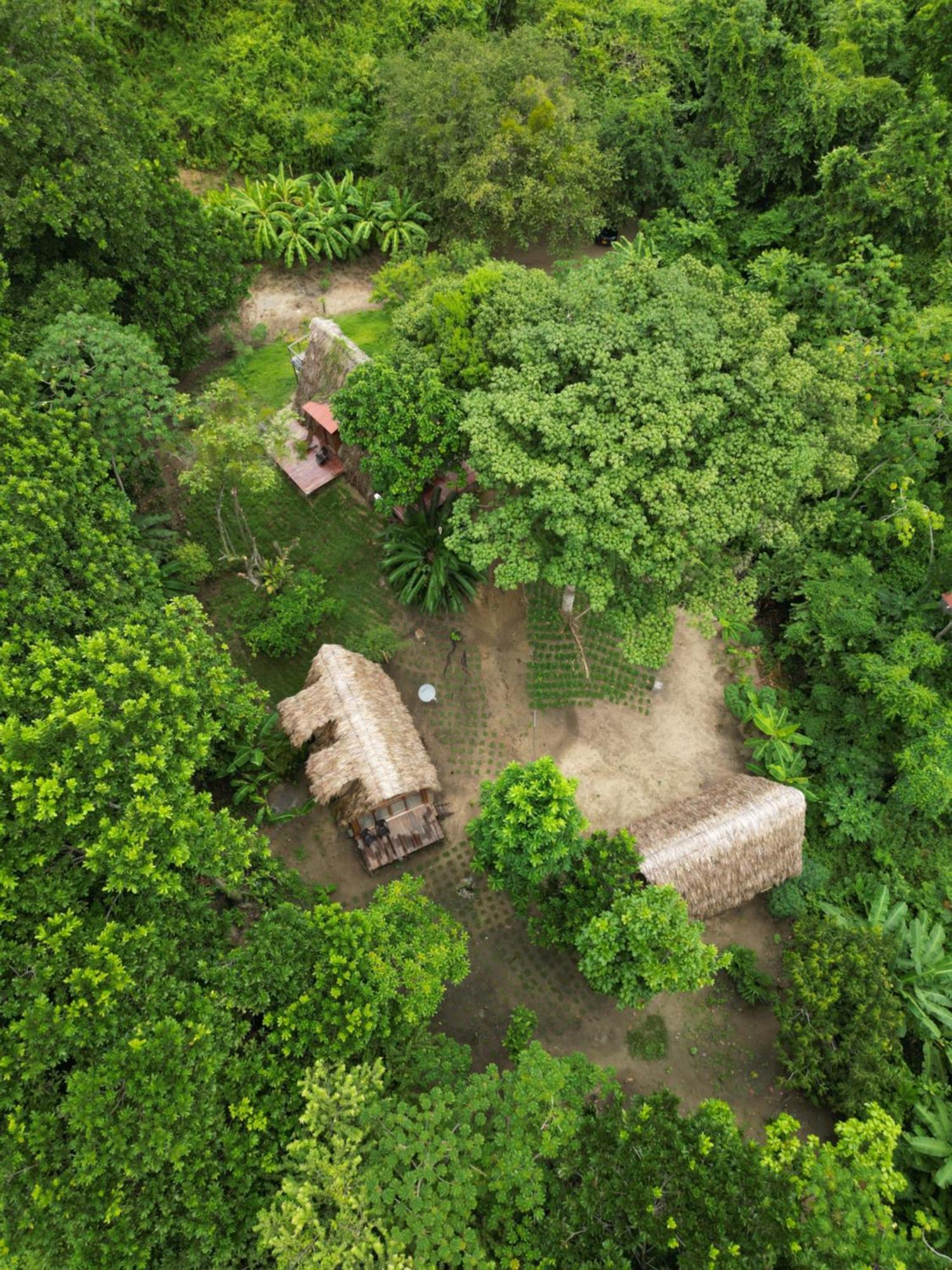 Tiny Houses Unique Tayrona - Dentro Del Parque Tayrona Zaino Eksteriør billede