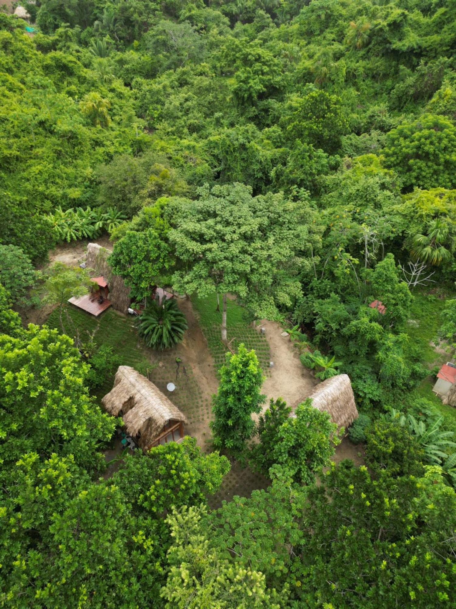 Tiny Houses Unique Tayrona - Dentro Del Parque Tayrona Zaino Eksteriør billede