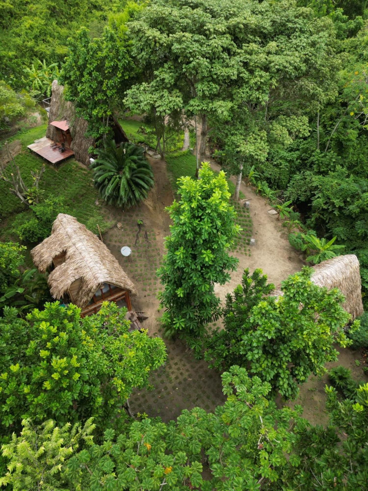 Tiny Houses Unique Tayrona - Dentro Del Parque Tayrona Zaino Eksteriør billede