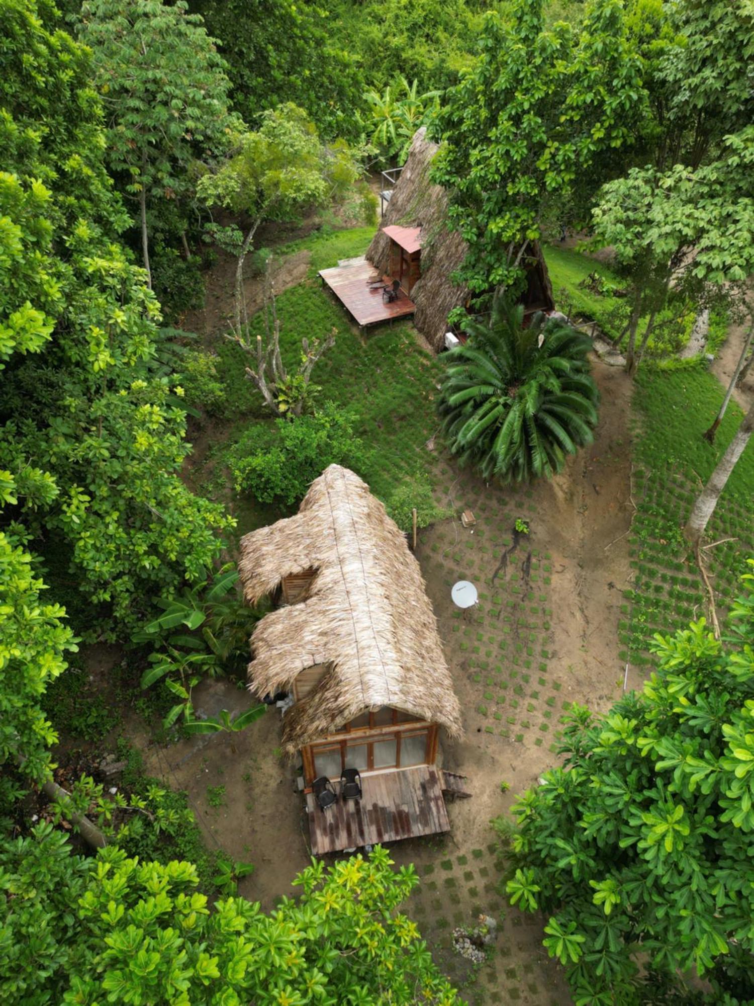 Tiny Houses Unique Tayrona - Dentro Del Parque Tayrona Zaino Eksteriør billede