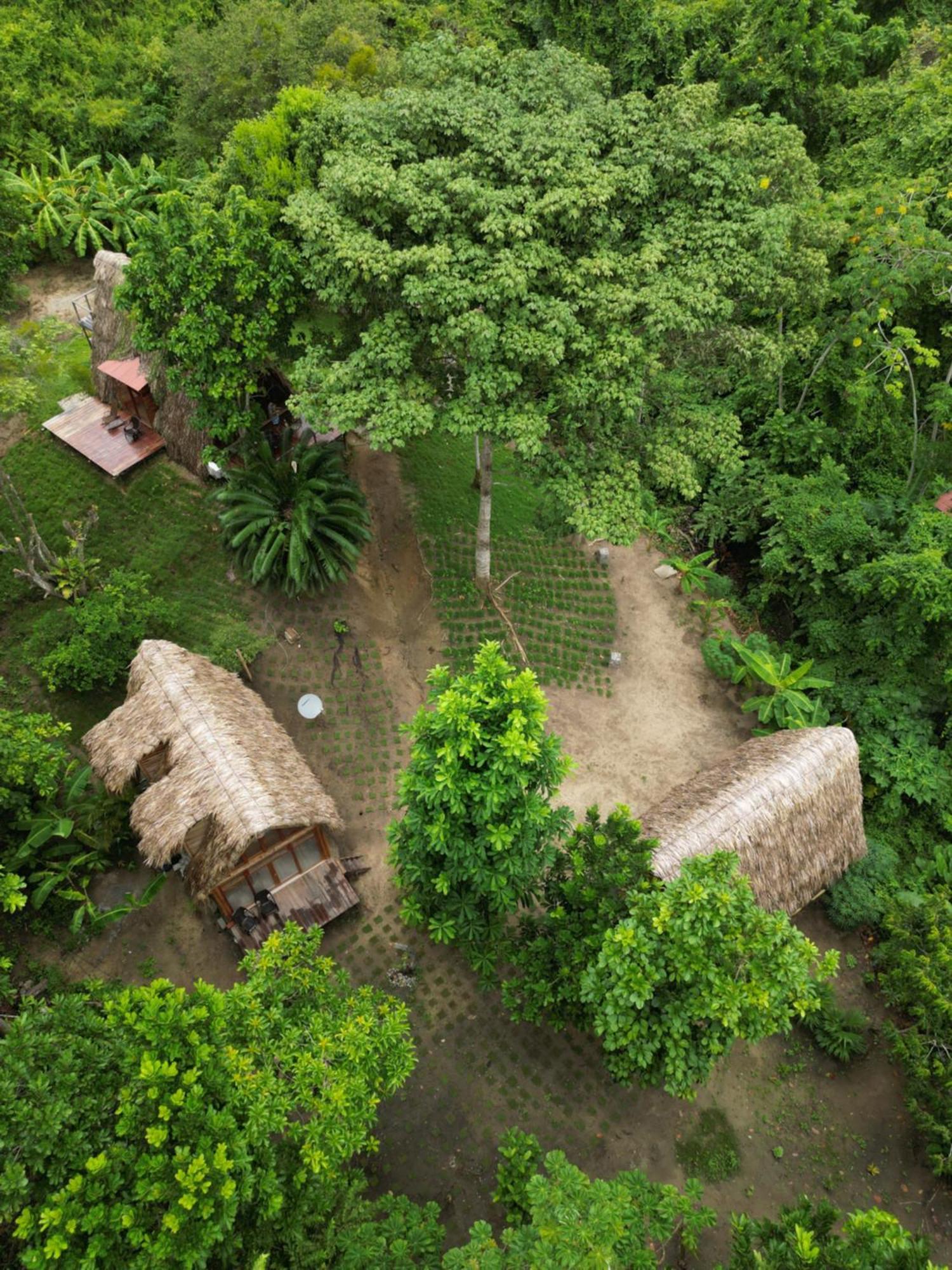 Tiny Houses Unique Tayrona - Dentro Del Parque Tayrona Zaino Eksteriør billede
