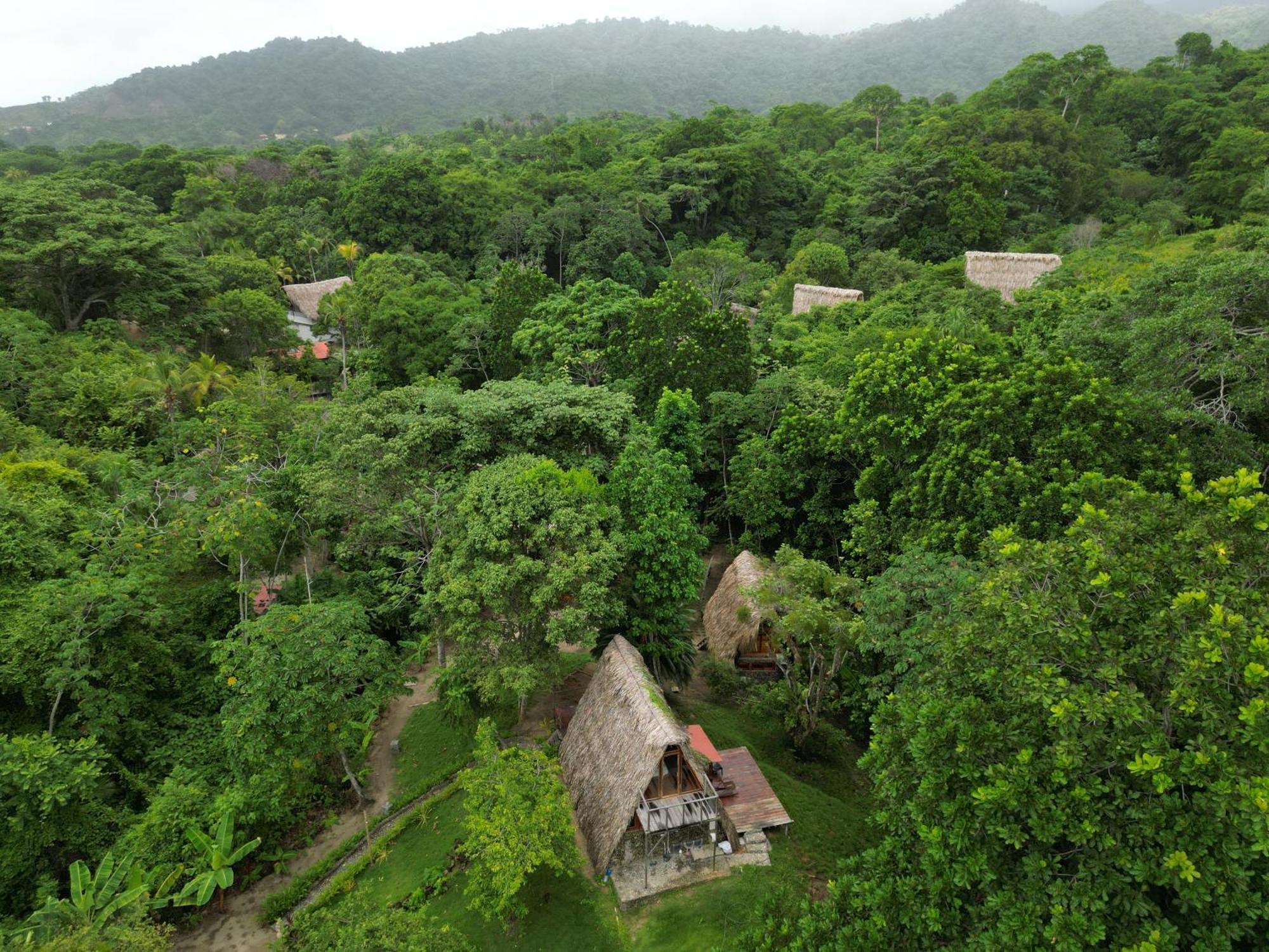 Tiny Houses Unique Tayrona - Dentro Del Parque Tayrona Zaino Eksteriør billede