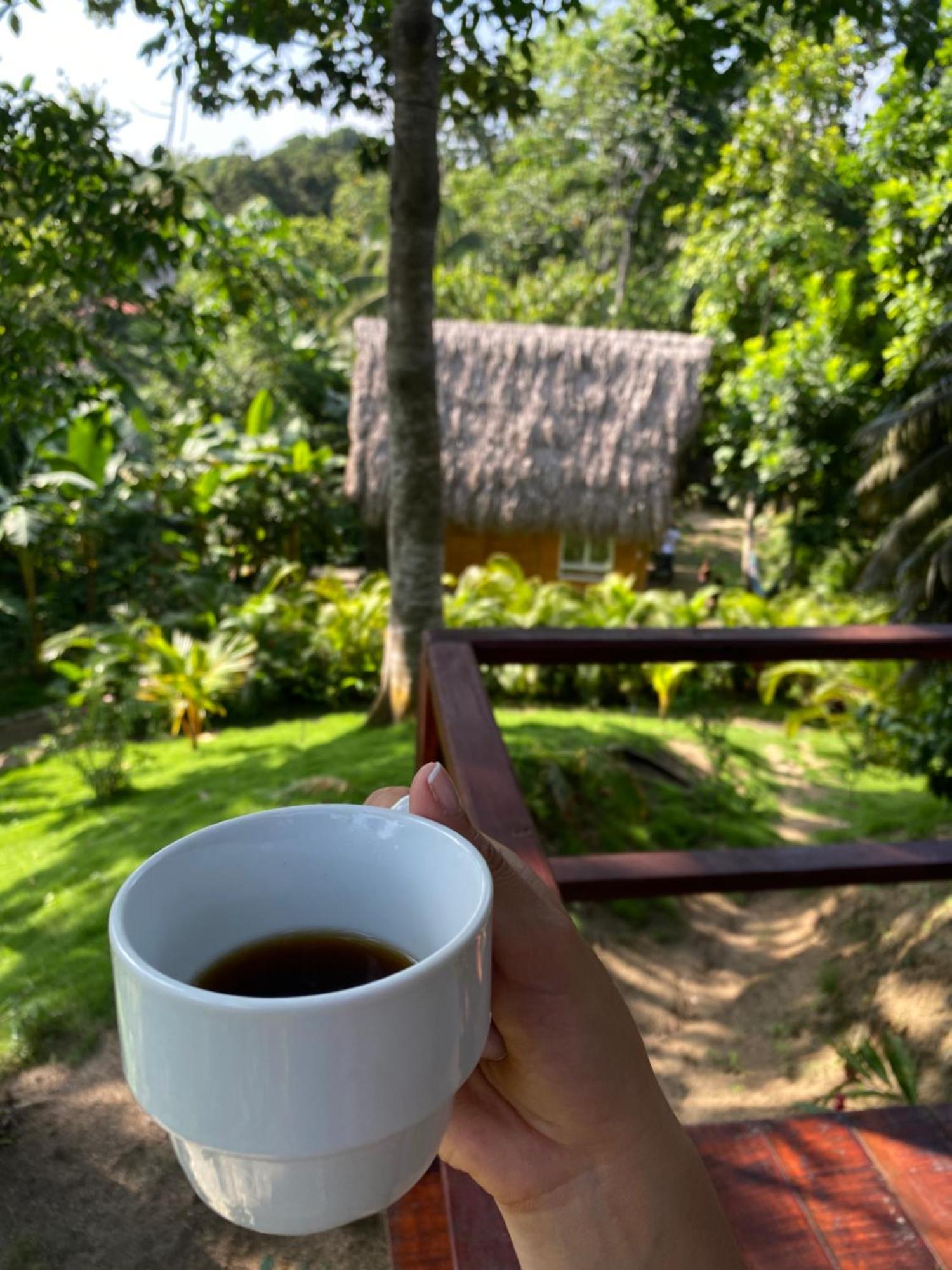 Tiny Houses Unique Tayrona - Dentro Del Parque Tayrona Zaino Eksteriør billede